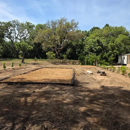 キャンプ場 La Vigne レクシ