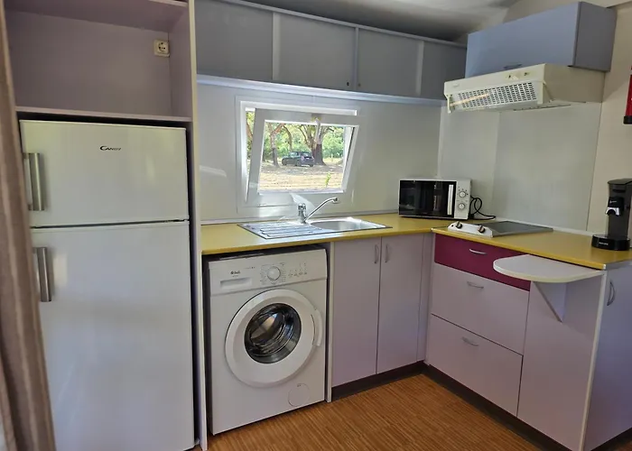 La Vigne 르씨