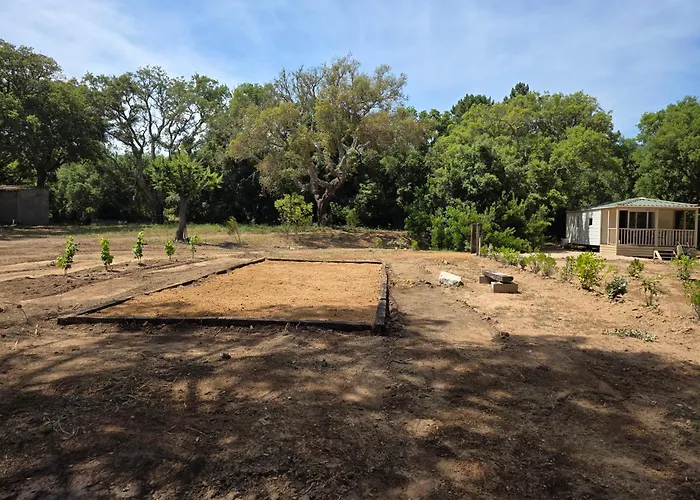 营地 La Vigne 里奇